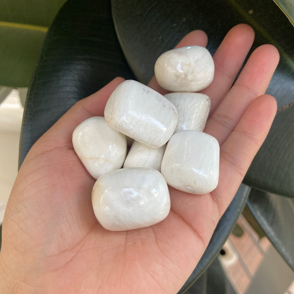 Scolecite tumble crystal